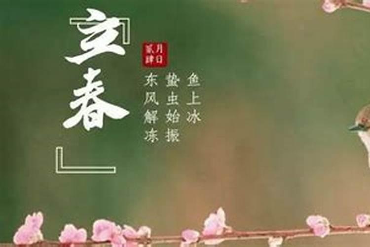 生肖龙2025年运势 属龙人2025年每月运势