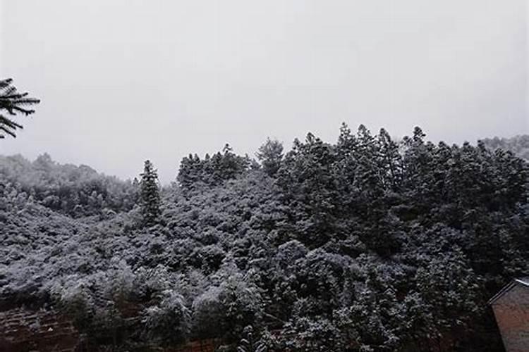 井冈山的春节习俗