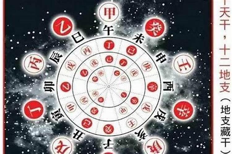 属鸡和属狗的合不合
