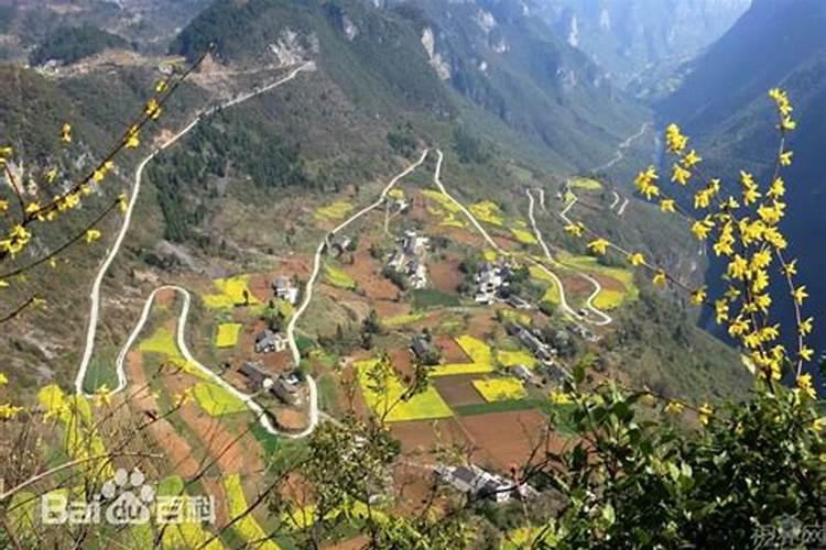 三命通会:甲辰日不同时辰生人的命运解析