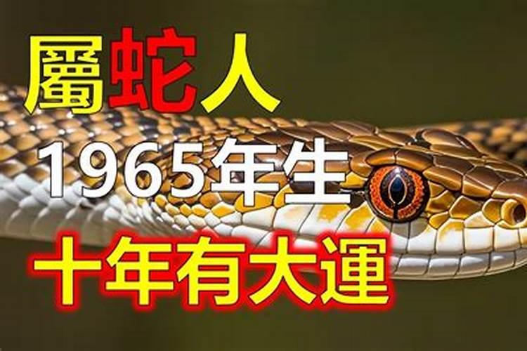 65年蛇在2025年的运势