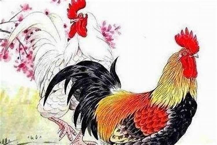 属鸡女和什么属相最配