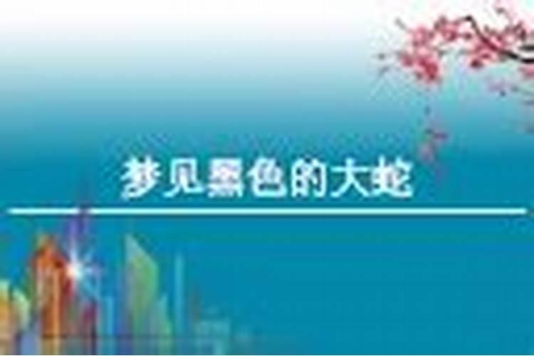 梦见黑蛇是什么预兆