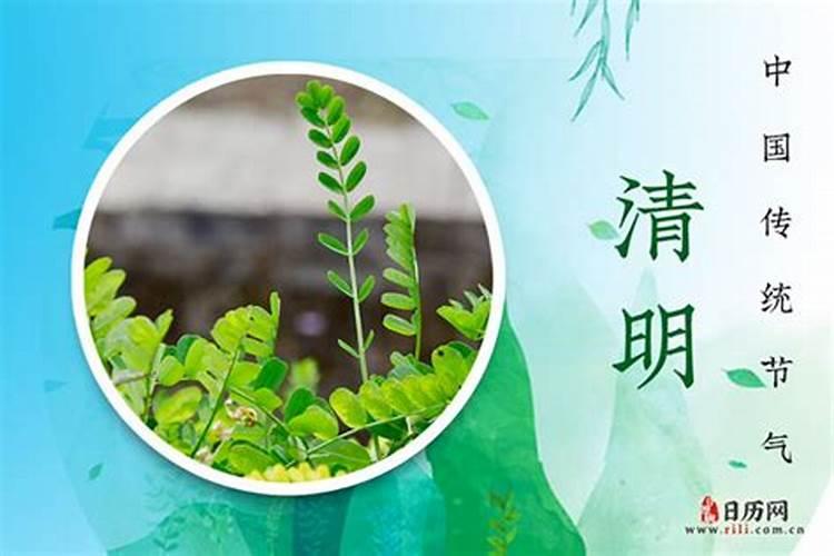 怎么测八字强弱,怎么算自己的八字强弱