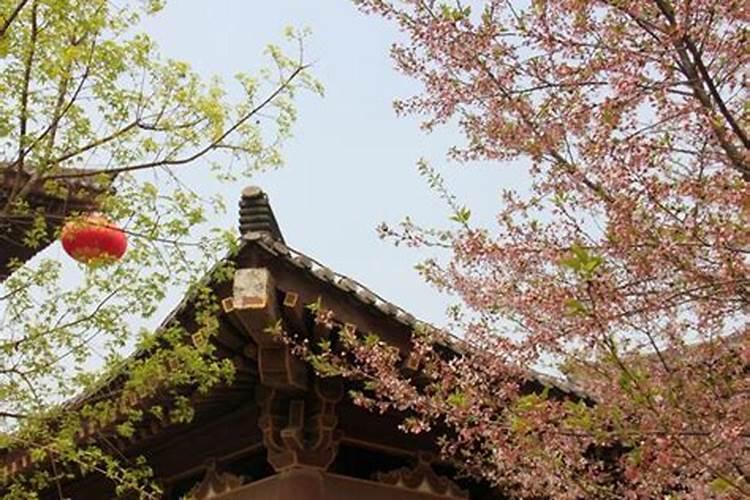 清明可以去西安旅游吗,清明西安出发自驾旅游攻略