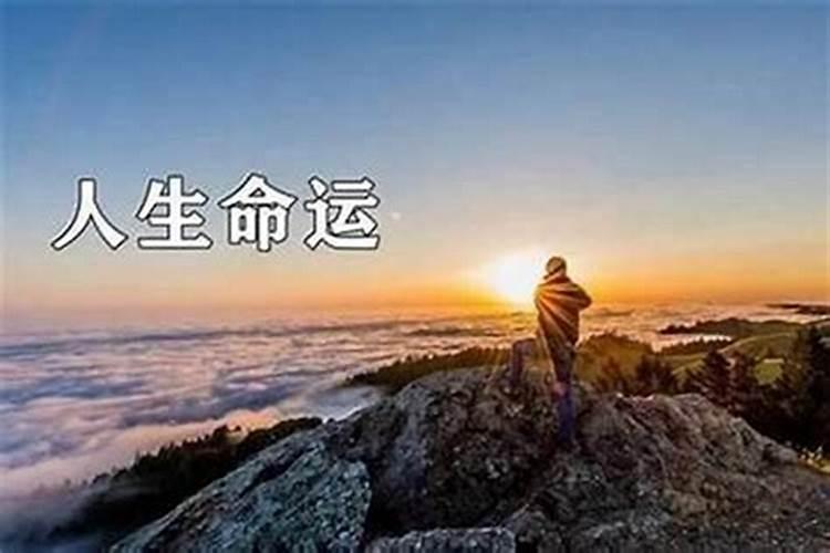 人的命运是不是不可以改变呢？？？