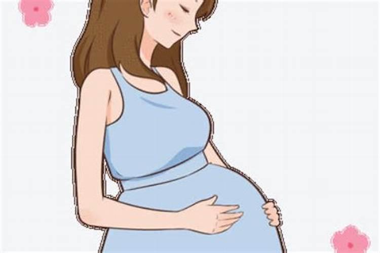 做梦梦到蟑螂是什么意思周公解梦,女人梦见蟑螂什么预兆