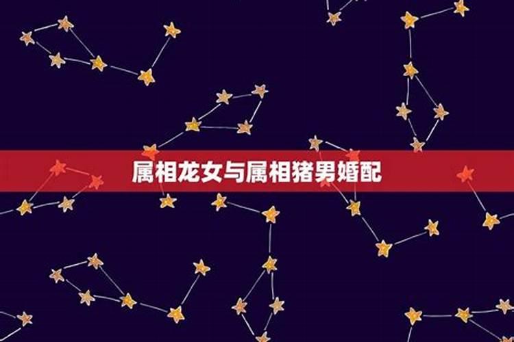 女属龙嫁给什么属相好,属龙女的和什么属相的合适？