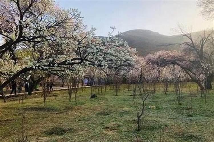 梦见洪水滔天是什么兆头？