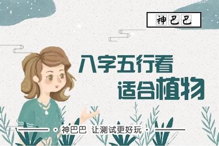 八字批断步骤(简单实用)