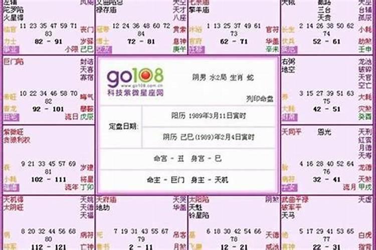 2025属狗每月运势运程 2025属狗人全年运势