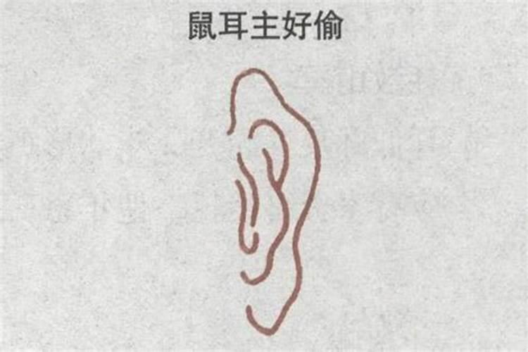 耳朵像老鼠耳朵的面相的人怎么样？