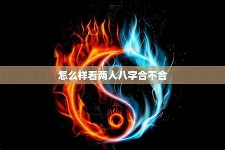 蛇年属鼠的犯太岁吗