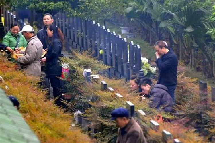 乙卯年己卯月戊午日戊午时出生的女人命运怎样,求高手解答。