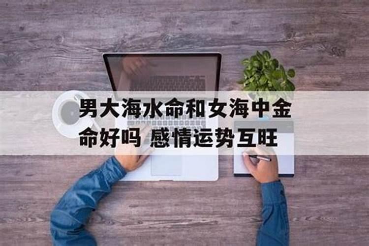 海中金命是什么意思,海中金命忌讳什么