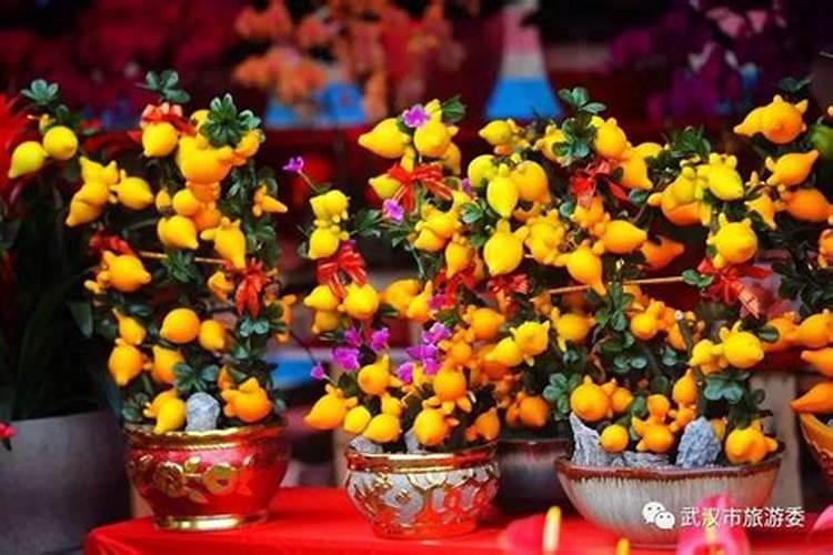 冬至买什么鲜花