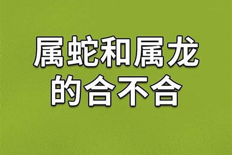 犯太岁可以不化解吗。