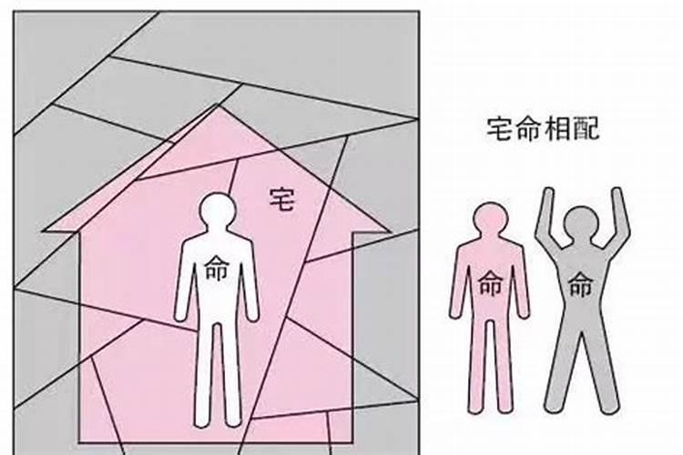 1994年几月出生最好命,1994年属狗几月是犯月份
