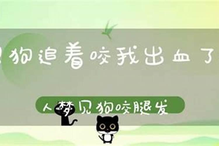 梦见别人钓到大红鲤鱼鲤鱼咬我的预兆