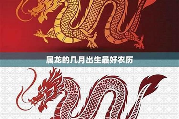 马年和龙年出生的人,属相真的不合吗？相生相克？