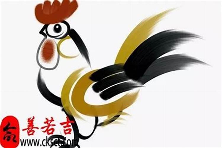 1981年属鸡的2024年运势运程和每月运势