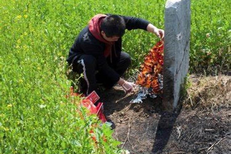 2024属龙的文昌位在哪个方向有利属龙人的学习方位在哪