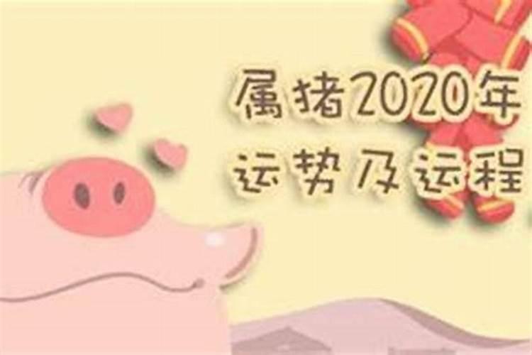 2025年的蛇五行属什么命