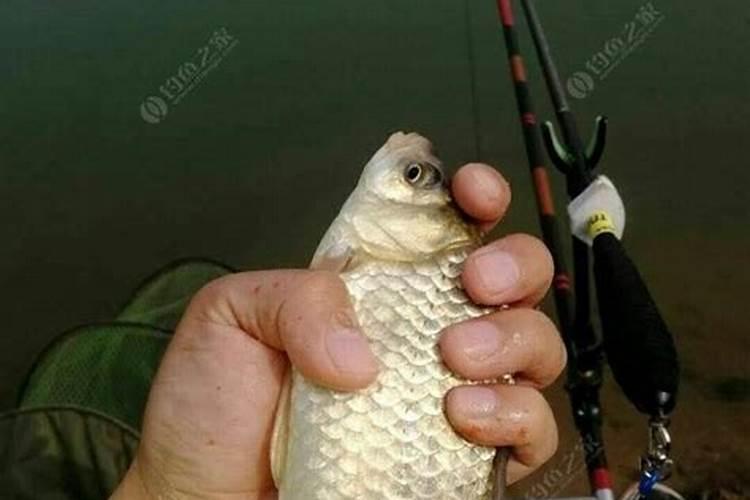 属蛇男和属羊女千万别在一起