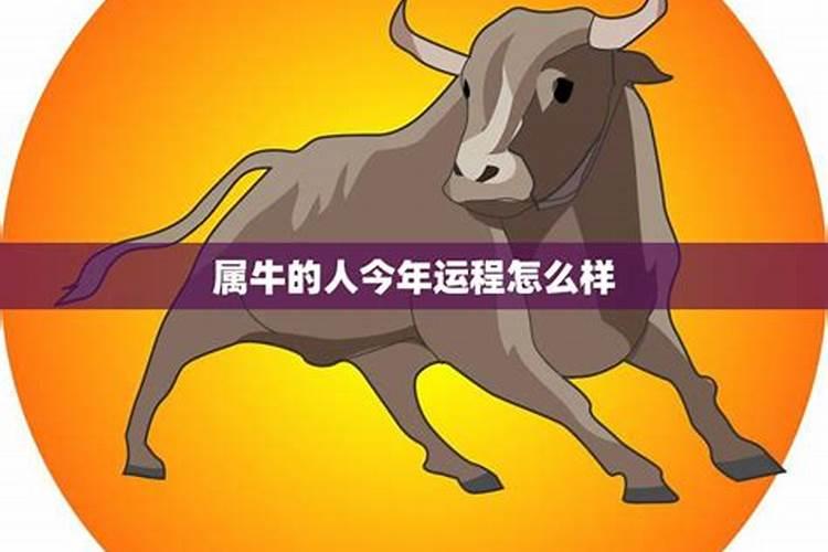 12生肖7月运程解析!谁最好运？