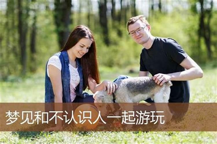 十一月出生的属猪人命运会如何