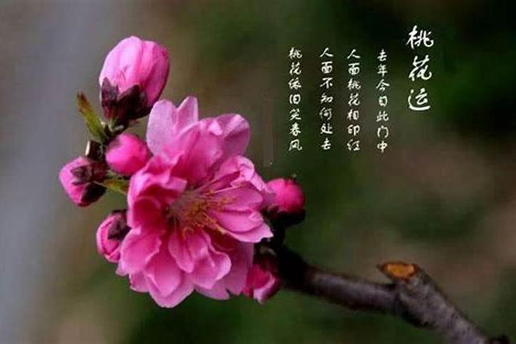 2024年农历腊月十六乔迁吉日 2024年1月26日是乔迁的黄道吉日吗百度知 ...