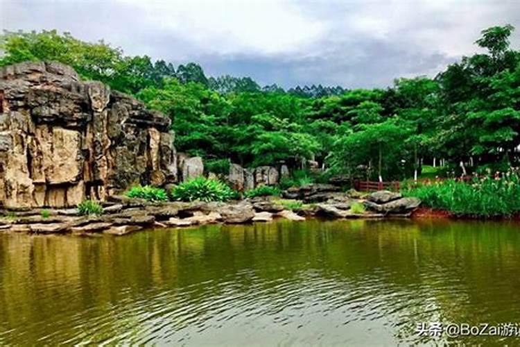 2016年玉林地区毛竹种植地多的地方是那里