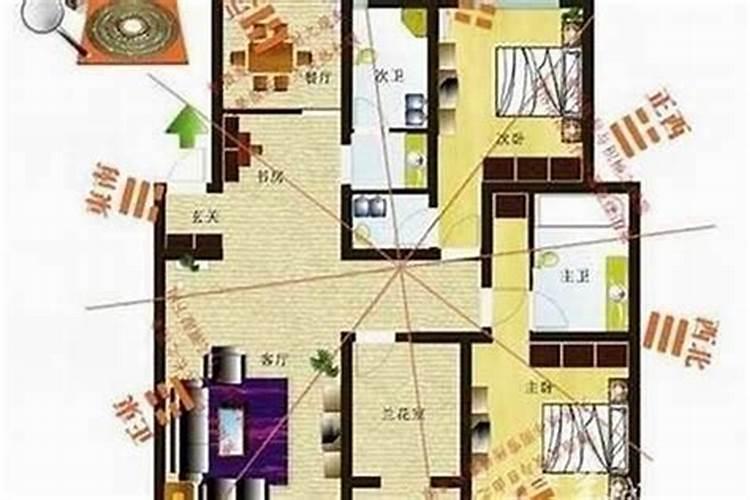 属老鼠的2025年运势和财运怎么样