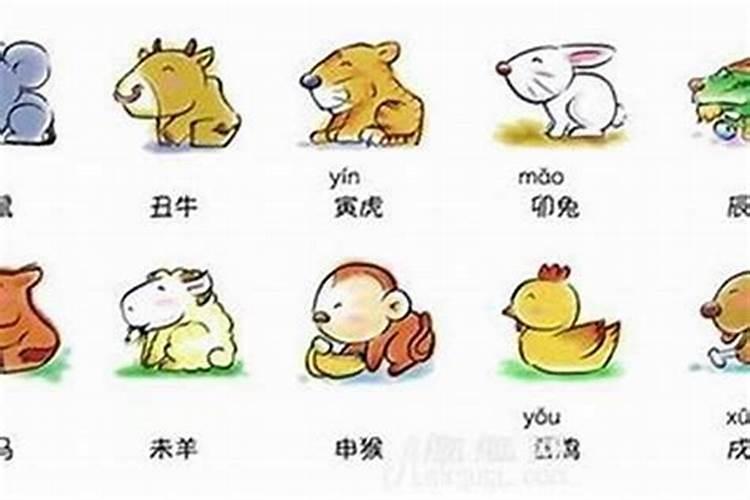 我咋想得这么美我咋活得这么累是什么歌我咋想得这么美我咋活得这么累...