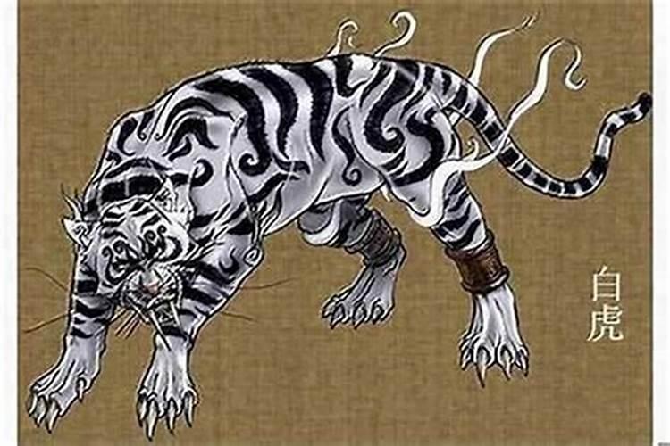 白虎是什么回事