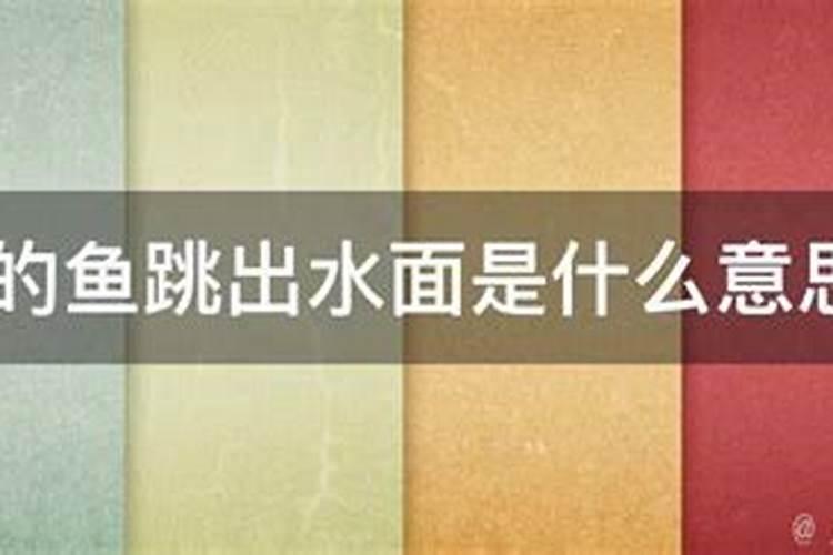 阴历生日12月26,是什么星座的,