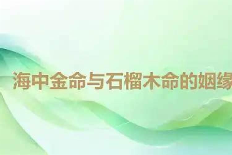 属龙的男人在1976出生在2025全年运势怎么样