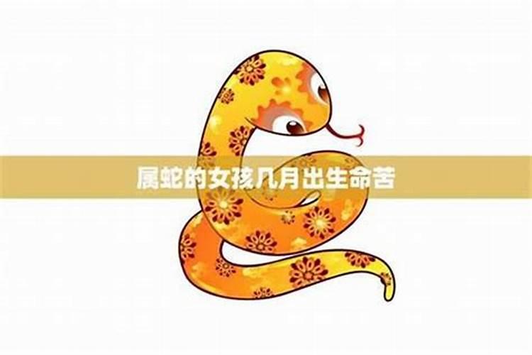 65年生肖蛇运程如何