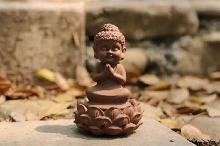 女人梦见自己的表妹