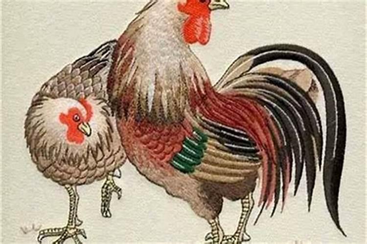 属鸡婚配什么属相最好 女方属鸡的最佳婚配