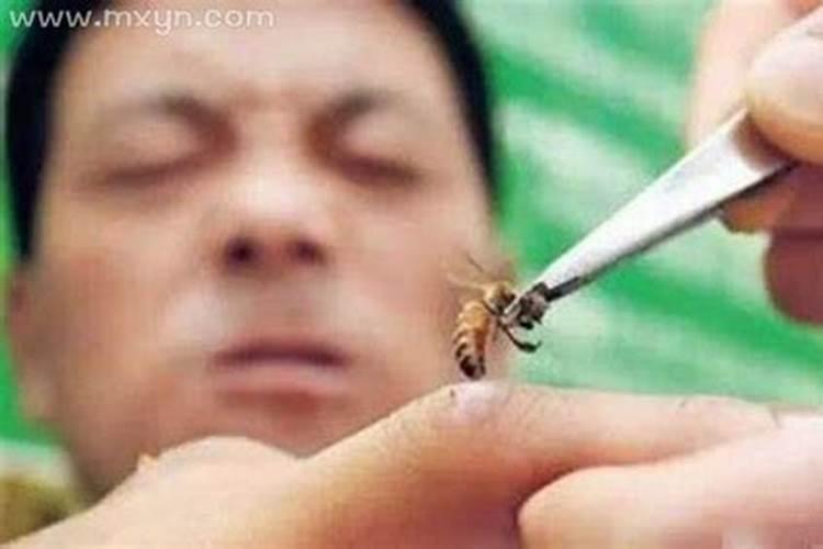 属鼠跟什么属相犯冲 属鼠人最合不来的三个生肖？