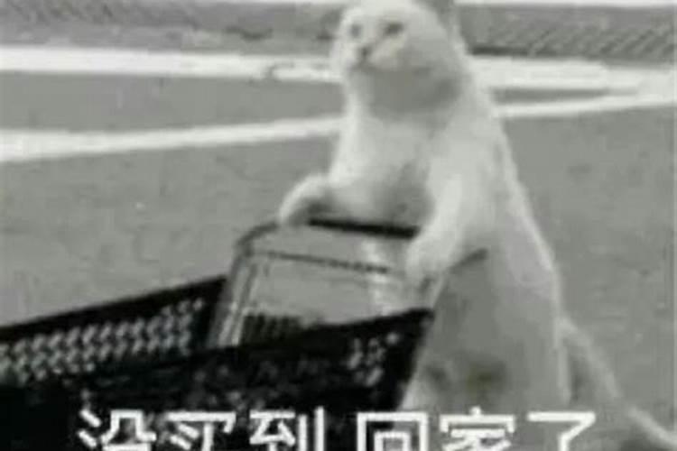 属虎人本命年应穿什么颜色 属虎人本命年穿什么颜色