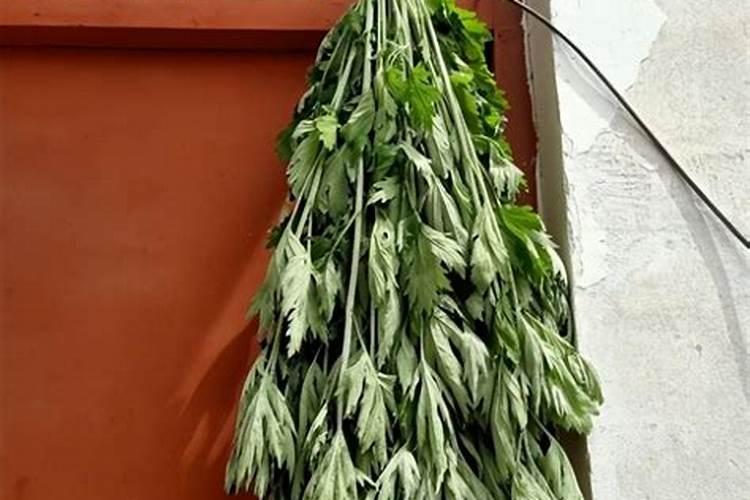 艾草挂在门外还是门内