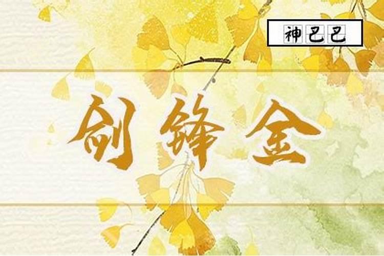 1992年猴的运势,1993年属鸡是什么命