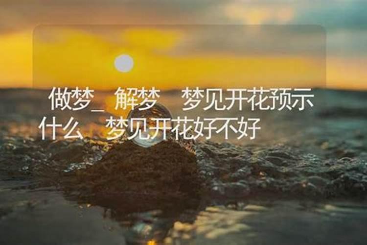梦见开花是什么意思 梦见花开的寓意介绍