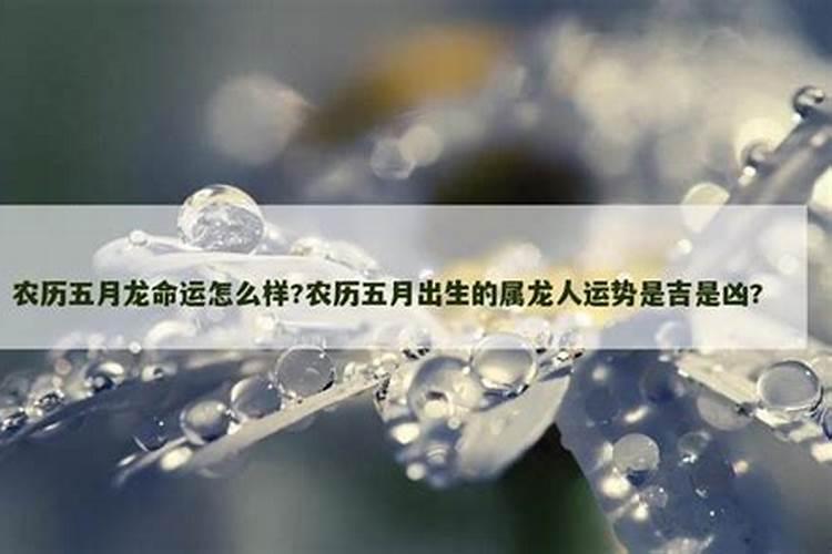 碗打碎了多个预示着什么碗打碎了多个象征着什么