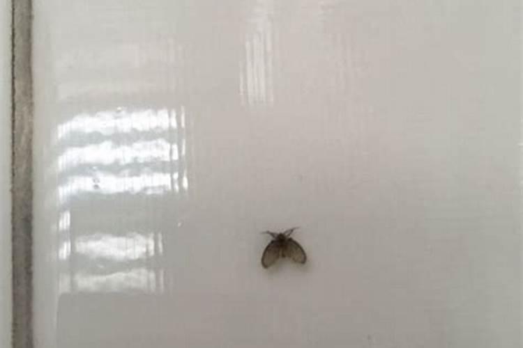 男人梦见涨水是要发财