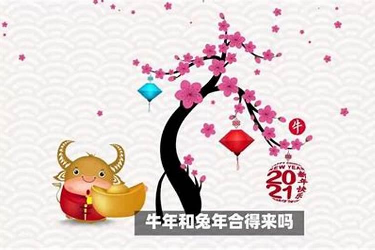 属兔男和属马女婚配如何情况,属兔男和属马女配么？