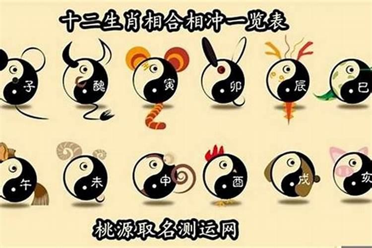 63女兔跟66男马婚配如何,1963年属兔男和1966年属马的婚姻会怎
