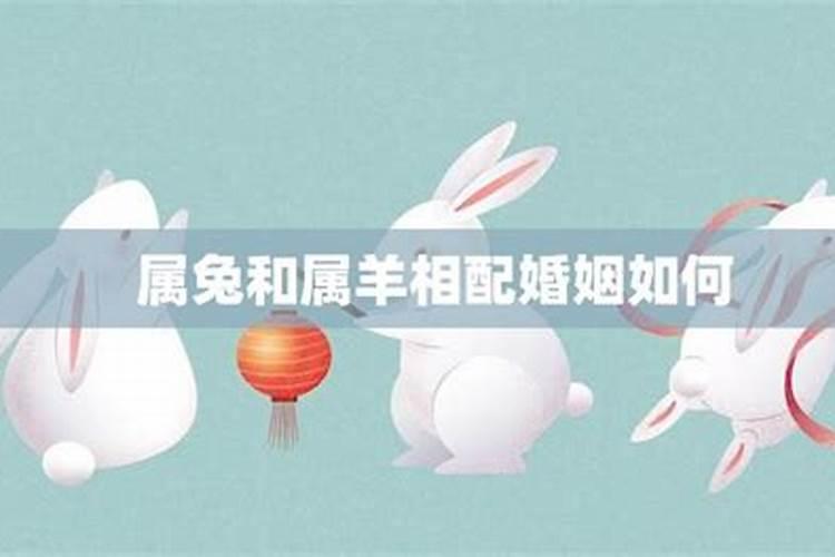 2025有正缘的属相